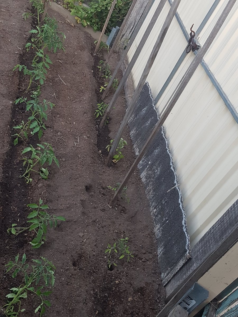 Joe Grbac tweet media