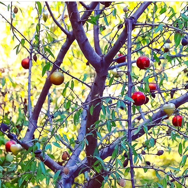 Visiting Provence tweet media