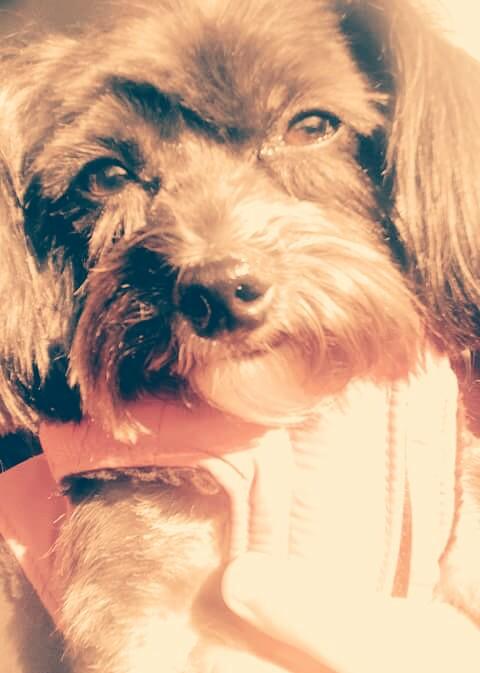 ChloeStrong13's tweet photo. https://t.co/6gIDcXlscU