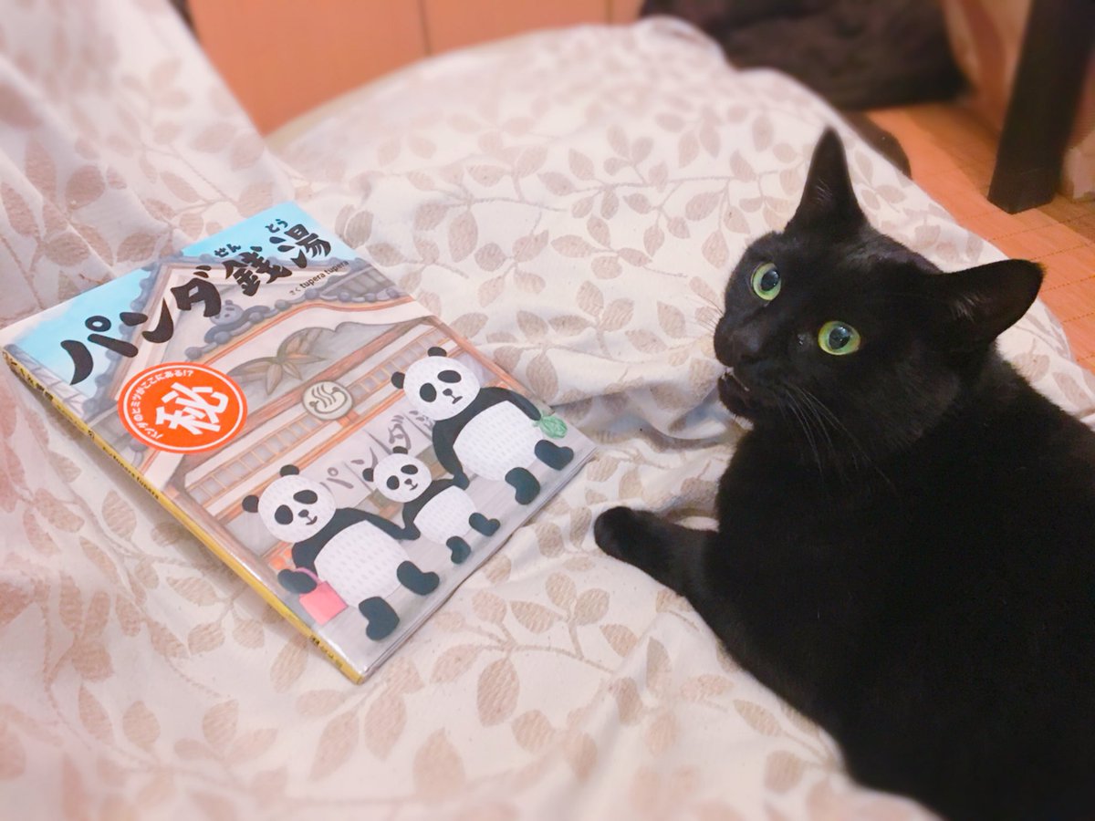 seki38's tweet photo. パンチ力はんぱない絵本が我が家に来ましたw
絵本でマル秘って、どゆことーー?!
#catdon
#Suzutaro
#パンダ銭湯 https://t.co/o4gNiu8n8J