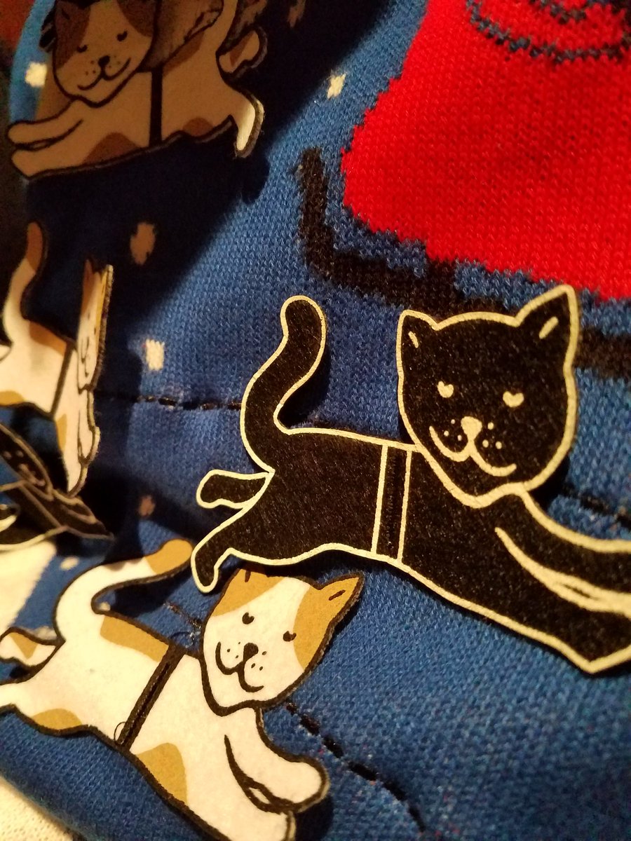 CheleWheeler's tweet photo. It's like they're looking at me... https://t.co/3JnrA6qdj1
