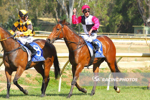 EquianoClub's tweet photo. #SMASHTHEGONG 5G Equiano x Class Prevails(Delano Brom) salutes at Benalla for Barry Goodwin &amp; @reeceywoo123 &amp; @jack_hill25 @newsellspark https://t.co/HPYEU2QZCb