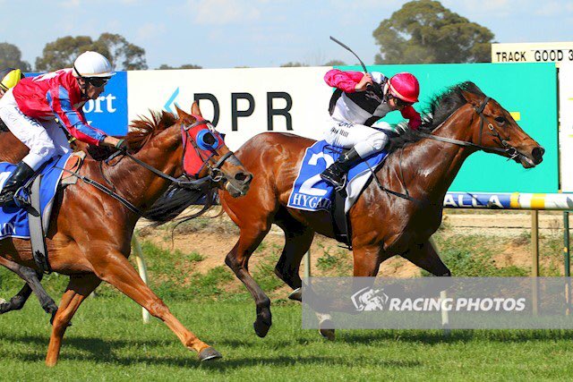 EquianoClub's tweet photo. #SMASHTHEGONG 5G Equiano x Class Prevails(Delano Brom) salutes at Benalla for Barry Goodwin &amp; @reeceywoo123 &amp; @jack_hill25 @newsellspark https://t.co/HPYEU2QZCb