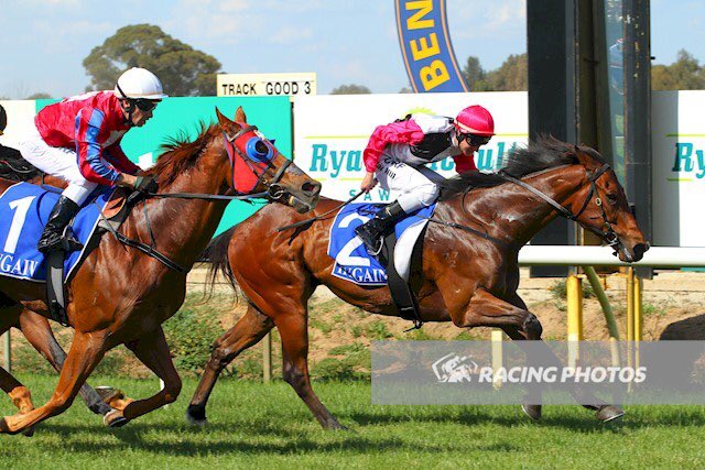 EquianoClub's tweet photo. #SMASHTHEGONG 5G Equiano x Class Prevails(Delano Brom) salutes at Benalla for Barry Goodwin &amp; @reeceywoo123 &amp; @jack_hill25 @newsellspark https://t.co/HPYEU2QZCb