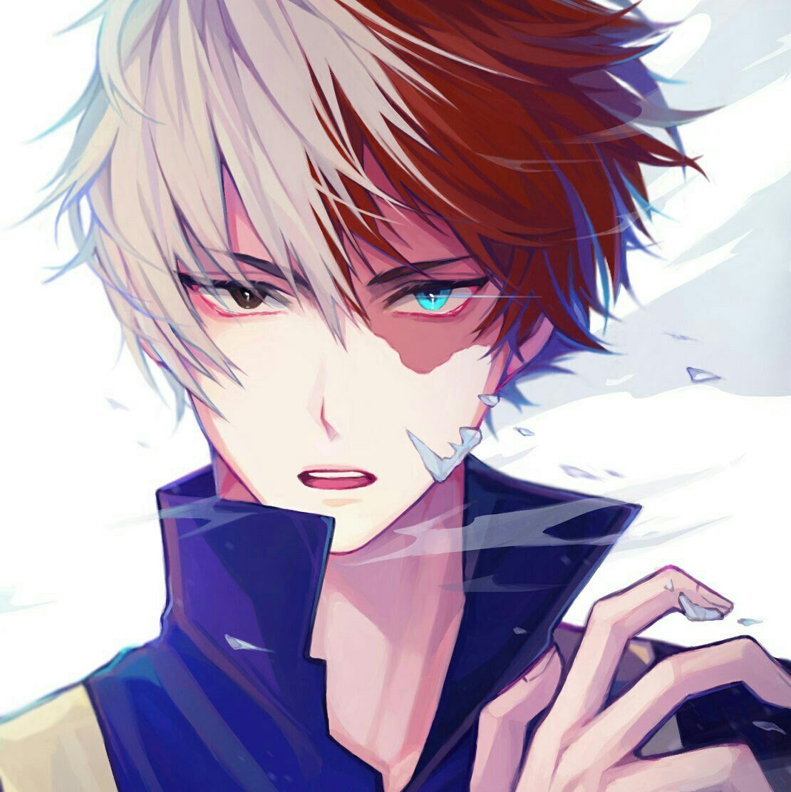 Gambar todoroki