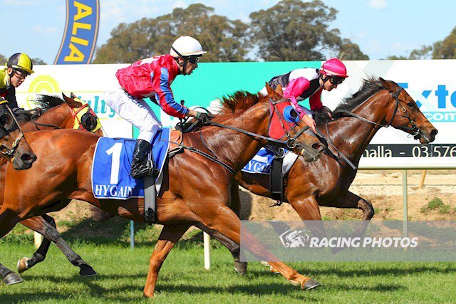 EquianoClub's tweet photo. #SMASHTHEGONG 5G Equiano x Class Prevails(Delago Brom) salutes at Benalla for Barry Goodwin &amp; @reeceywoo123 &amp; @jack_hill25 @newsellspark https://t.co/RFhhVnDFcp