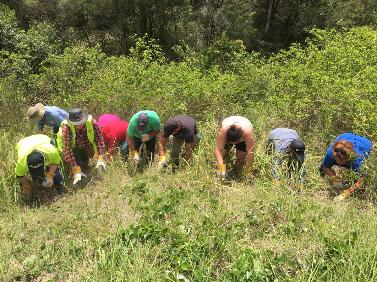TysonCottrill's tweet photo. TONIGHT: 170-volunteers spend the weekend scouring bushland at Metford, searching for missing man, Zac Barnes @nbnnews #zacbarnes #missingperson https://t.co/VL6Z5jr0en