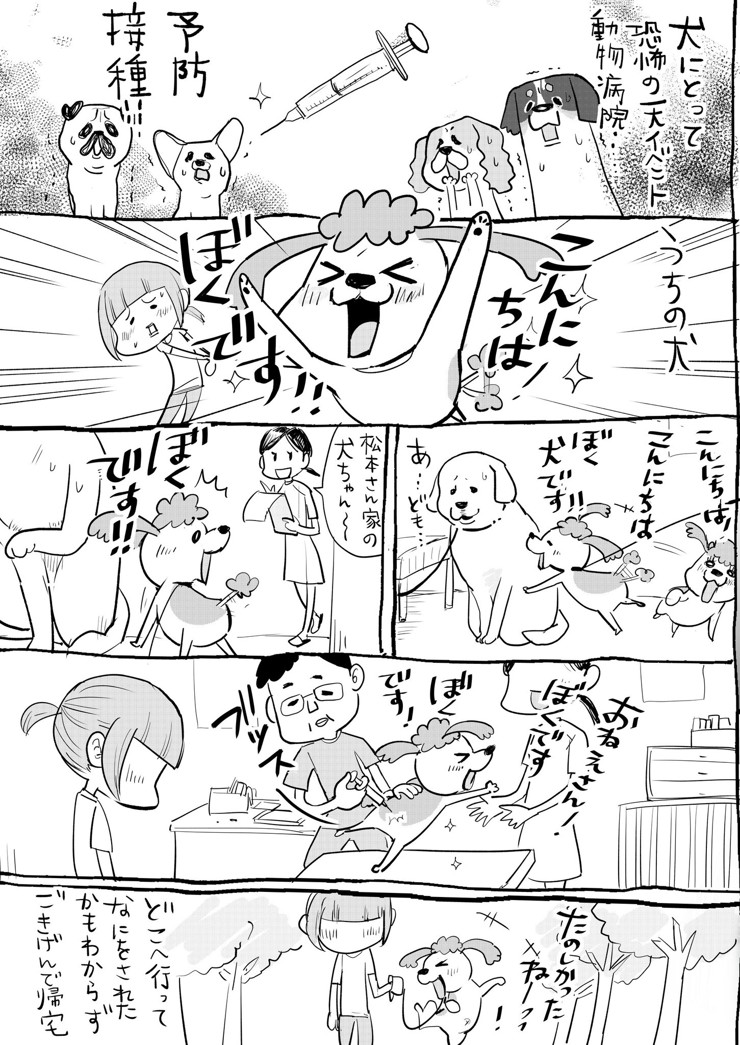 動物病院での予防接種はやっぱり怖い 犬と猫の反応の違いがこれ 話題の画像プラス 動物病院での予防接種はやっぱり怖い 犬と猫の反応の違いがこれ 話題の画像プラス