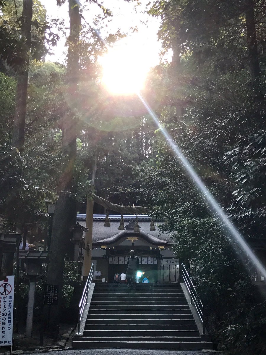 ハナタロウ tweet media