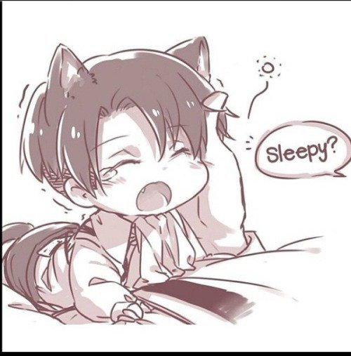 el_lechedo's tweet photo. buenas noches que descansen ^^
(aun quiero un poco de pescado :c) https://t.co/PsKq5TfAZx