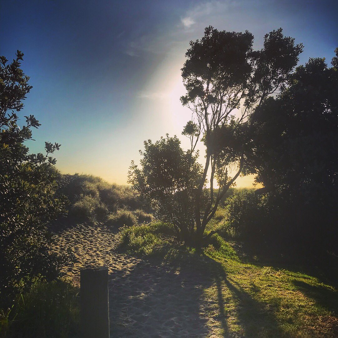 AucklandNewsNow's tweet photo. Okay, NZ, you wrecked me in the best way possible. 💯🦋 #AllTheThings https://t.co/q5rCXlRpBk