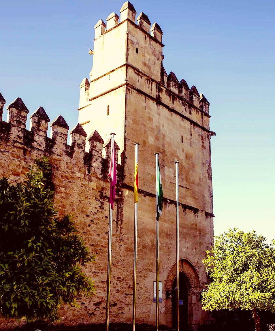 Alcázar es un término español para designar a un castillo o palacio fortificado. Proviene de la palabra árabe القصر -al-Qaṣr-.