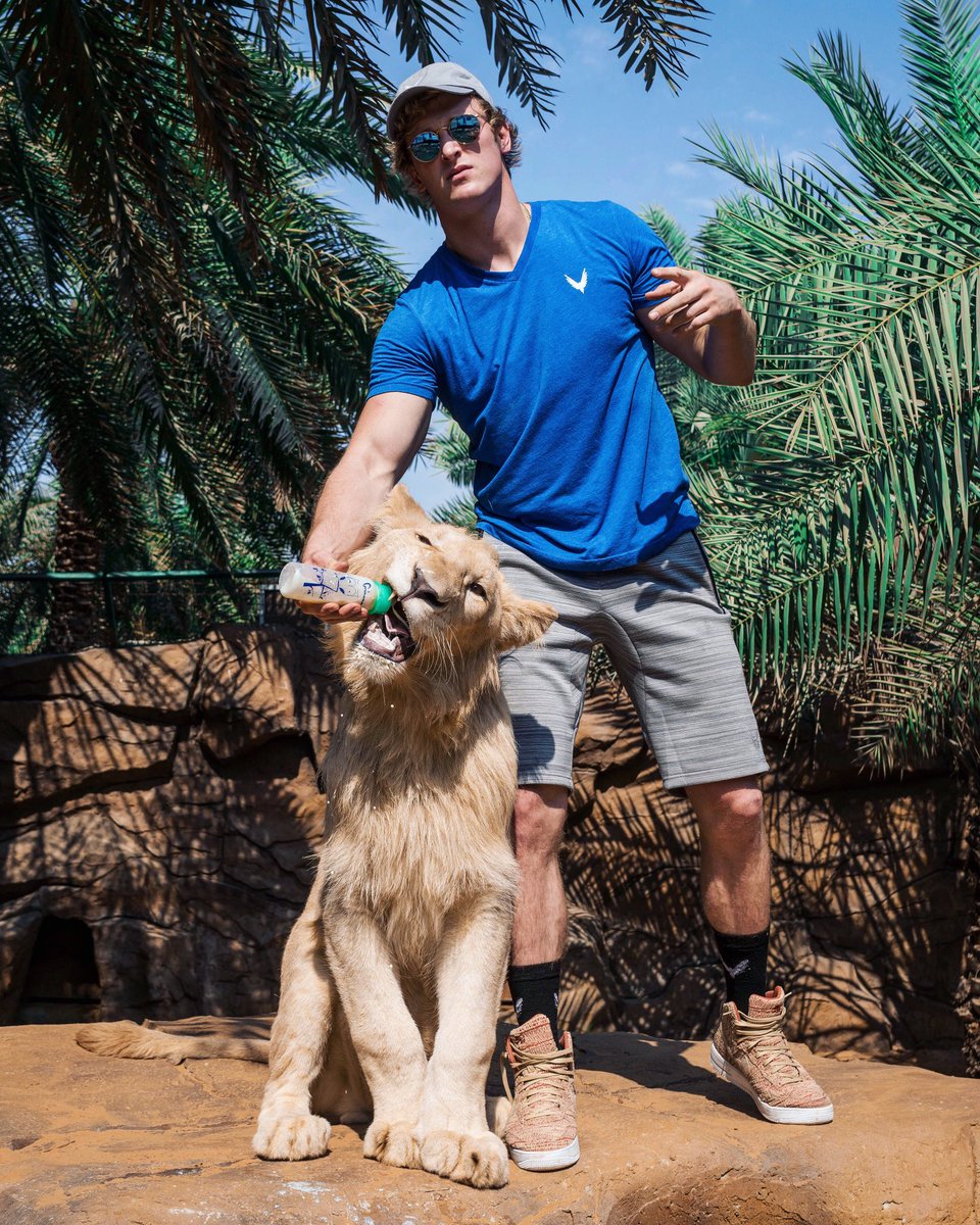LoganPaul's tweet photo. Dubai = Content Overload 
#Daddy https://t.co/jSRmstZs5r