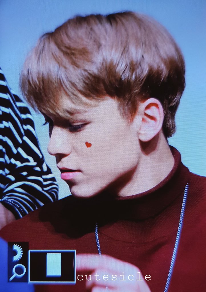 cutesicle_'s tweet photo. [pre] 171111 누리꿈 팬싸인회
#세븐틴 #SEVENTEEN #버논 #VERNON

한솔이는 사랑둥이야 ㅠㅠ 맞지맞지 ㅠㅠㅠ💖💖💖💖 https://t.co/kpTUz6DQZg