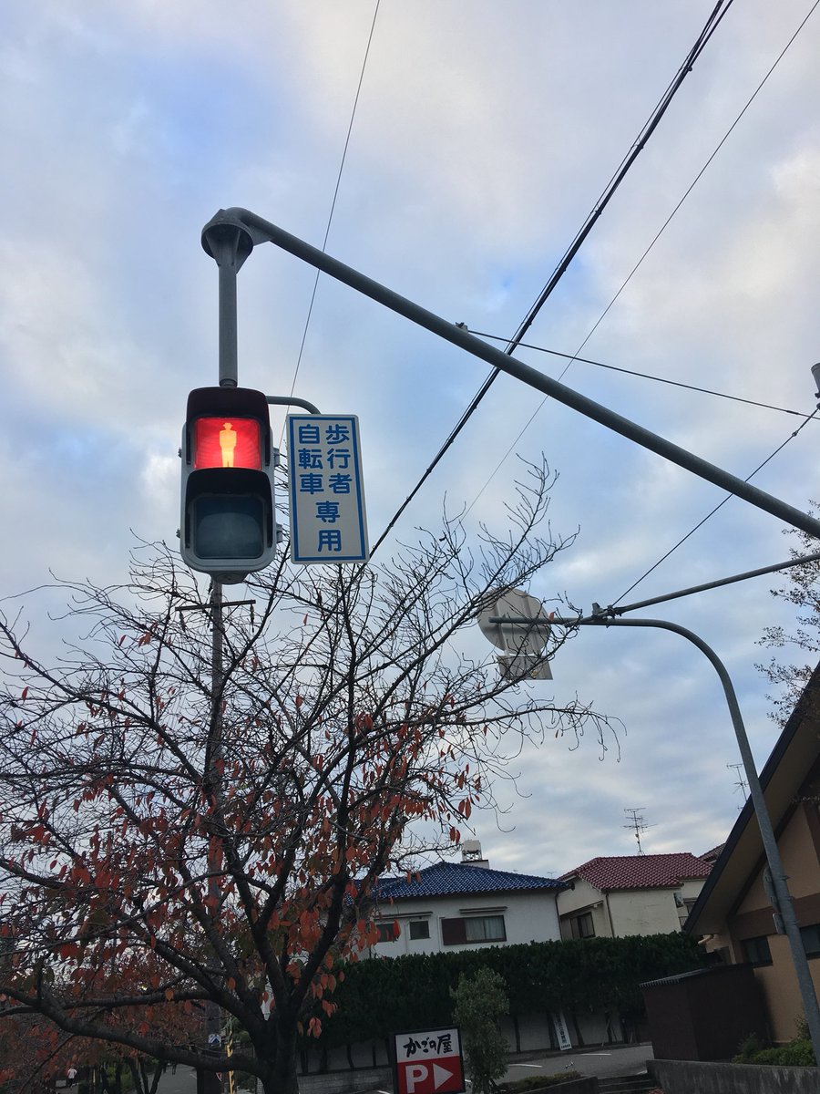 川沿いの歩道に向けての信号のため、長いアームの歩行者信号機 歩行者