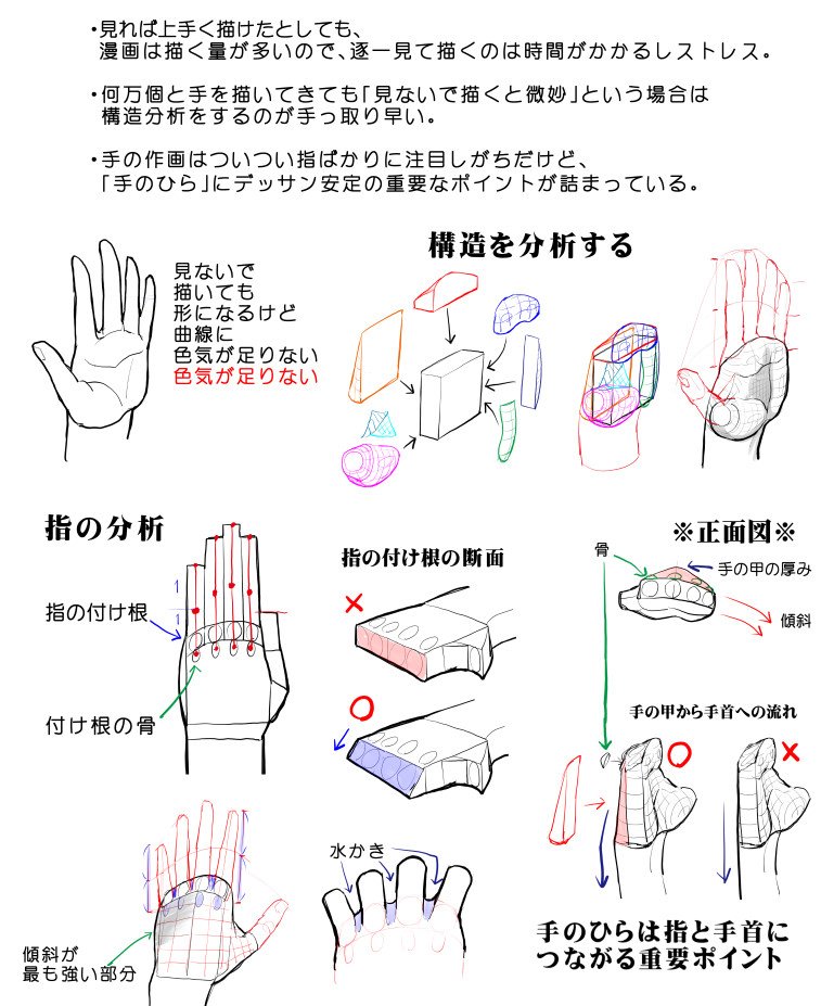 漫画素材工房 デッサンのhow Toしている方々が人に教えながら自分もみるみる上達しているのが羨ましすぎて 自分用how To作ったら本当にスラスラ描けるようになったので仰天しました 手の平ベースの手の上達法 中級者向け 素材 デッサン 素材 豆