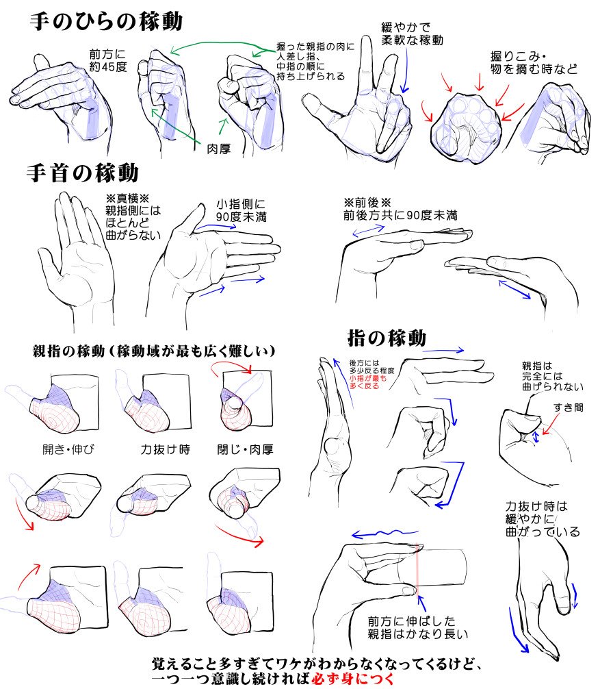 漫画素材工房 デッサンのhow Toしている方々が人に教えながら自分もみるみる上達しているのが羨ましすぎて 自分用how To作ったら本当にスラスラ描けるようになったので仰天しました 手の平ベースの手の上達法 中級者向け 素材 デッサン 素材 豆