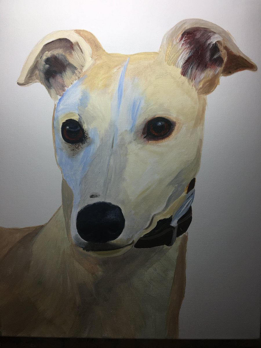 4pawsart's tweet image. ON THE EASEL Toby Stage 2 Underpainting - Collar &amp;amp; One eye completed To commission your own pet portrait CONTACT ELAINE 4PawsArt.com @thenortheastHUB @doggieplaces @PetNPony @sunderland_hour @durhamhour @HPoolMail @HSdirectSA