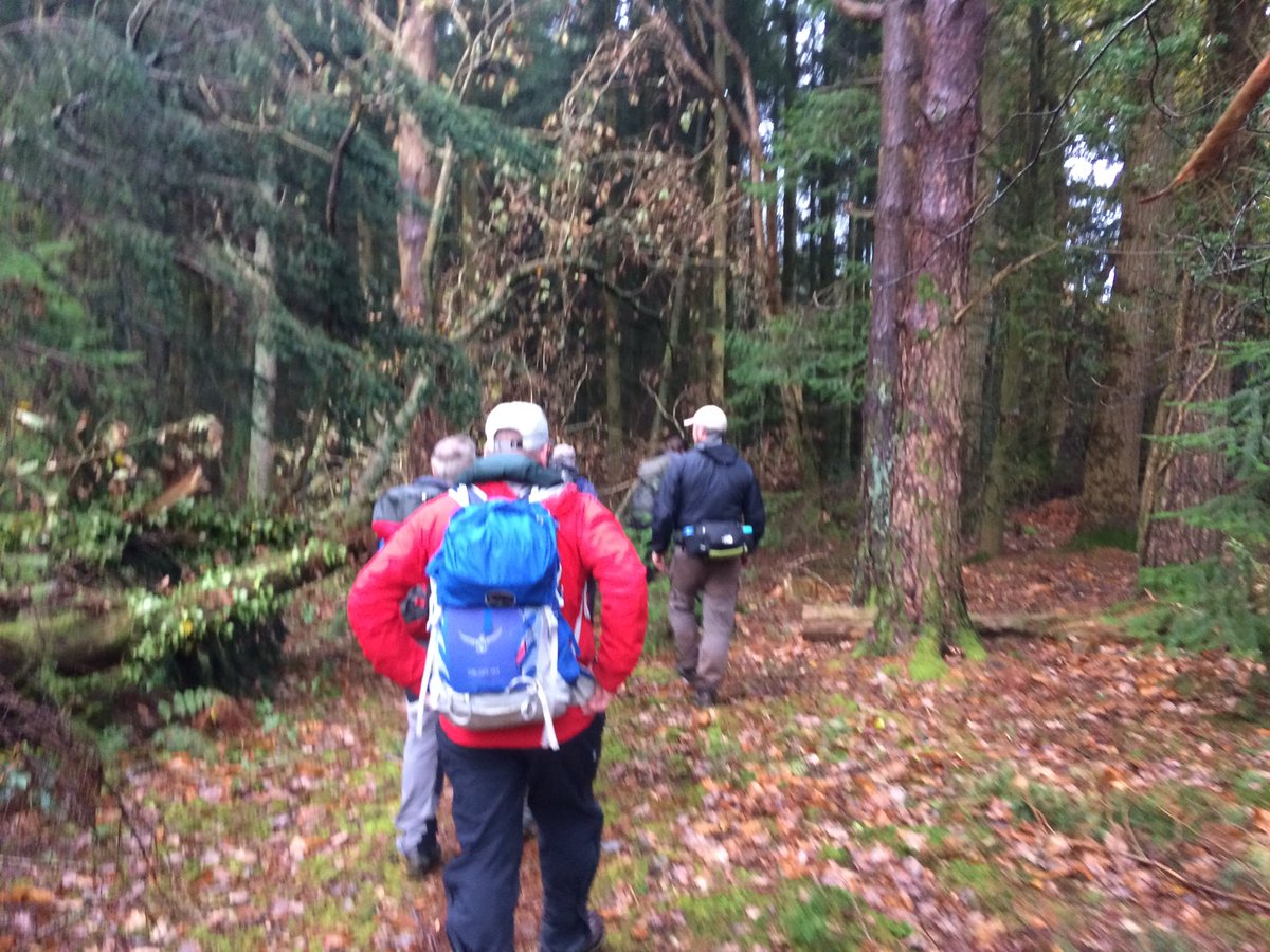 Steven Milford tweet media