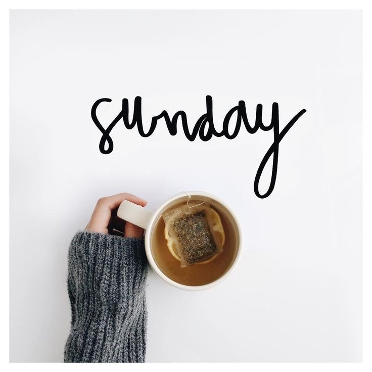 Wendy M. Powell (@208powelllaw) on Twitter photo 