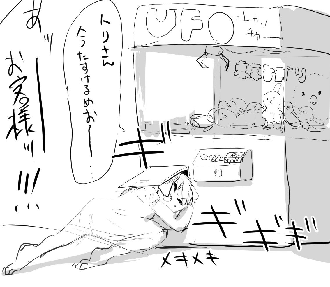 お題、クレーンゲームvsめおめお 