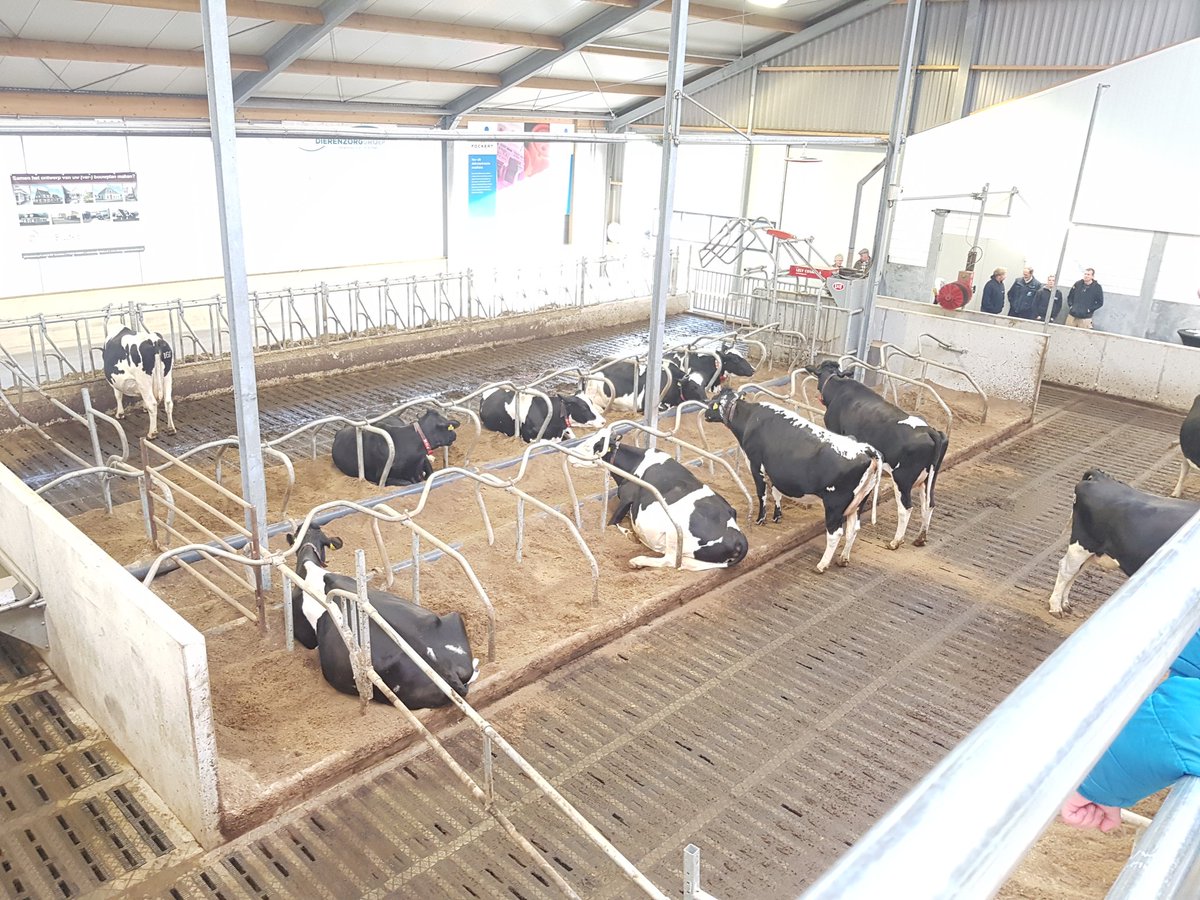 groot_ingeborg's tweet photo. @RabobankAV Open dag bij melkveehouderij Keijzer # collega's ook aanwezig # mooi bedrijf. Veel belangstelling!! https://t.co/g1rmZK6hSA