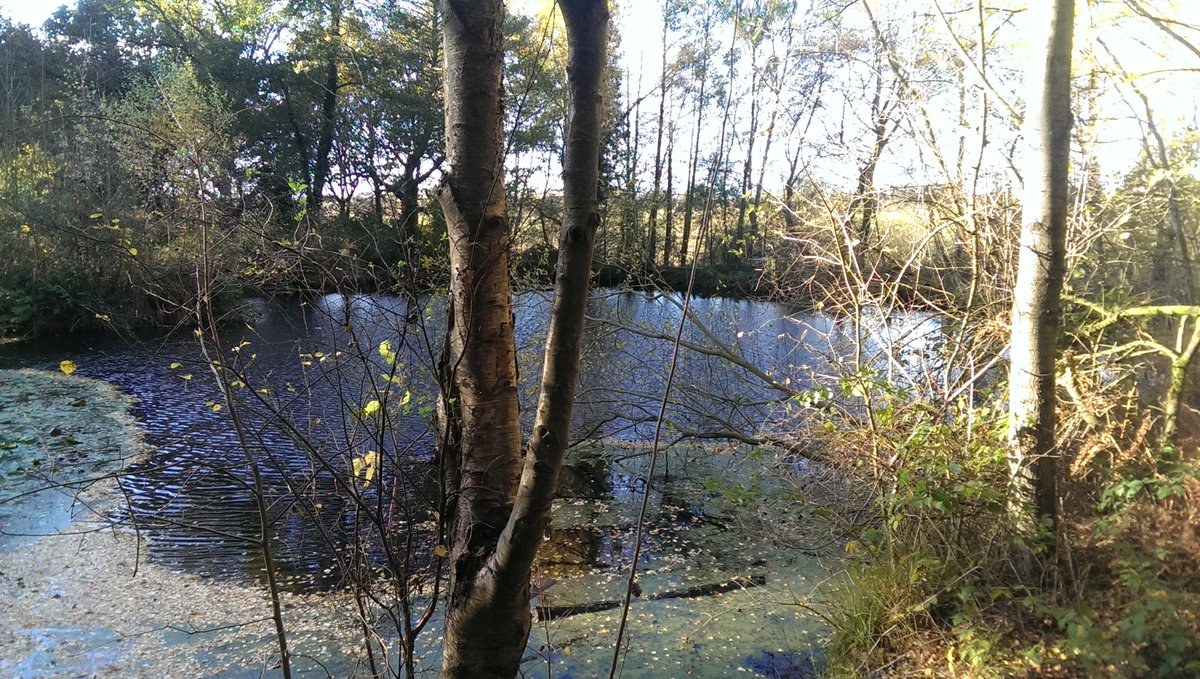 TheDukesTree's tweet photo. I always take time for reflection. #spaponds https://t.co/nSLZ1Qk2ol