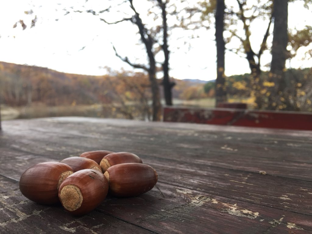 OKCentar's tweet photo. @DedaBor Pa i mi valjda imamo dušu :) https://t.co/E9UmT8BCnD