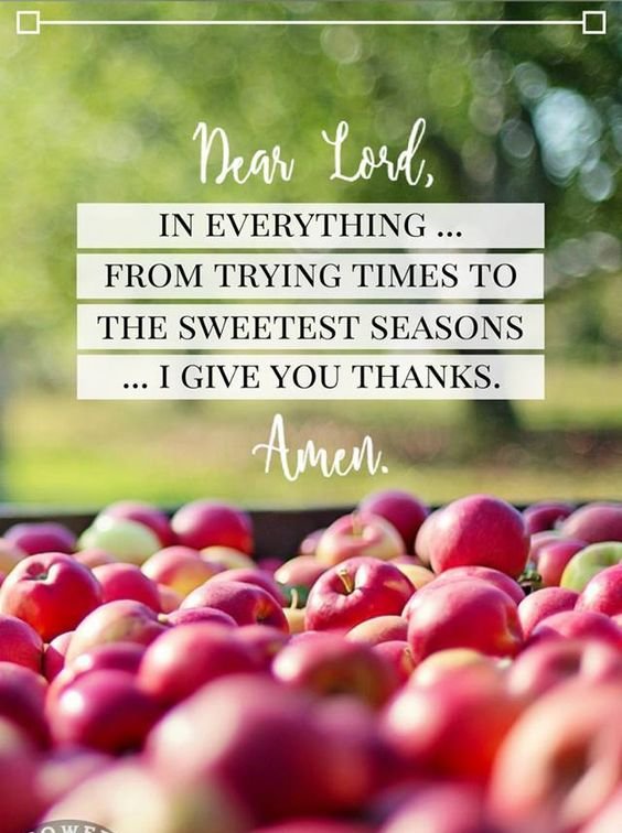 CoolGlow's tweet photo. "Give thanks in all circumstances." (1 Thess. 5:18)
#Thanksgiving #givethanks #sunday https://t.co/yirX1EBzpv