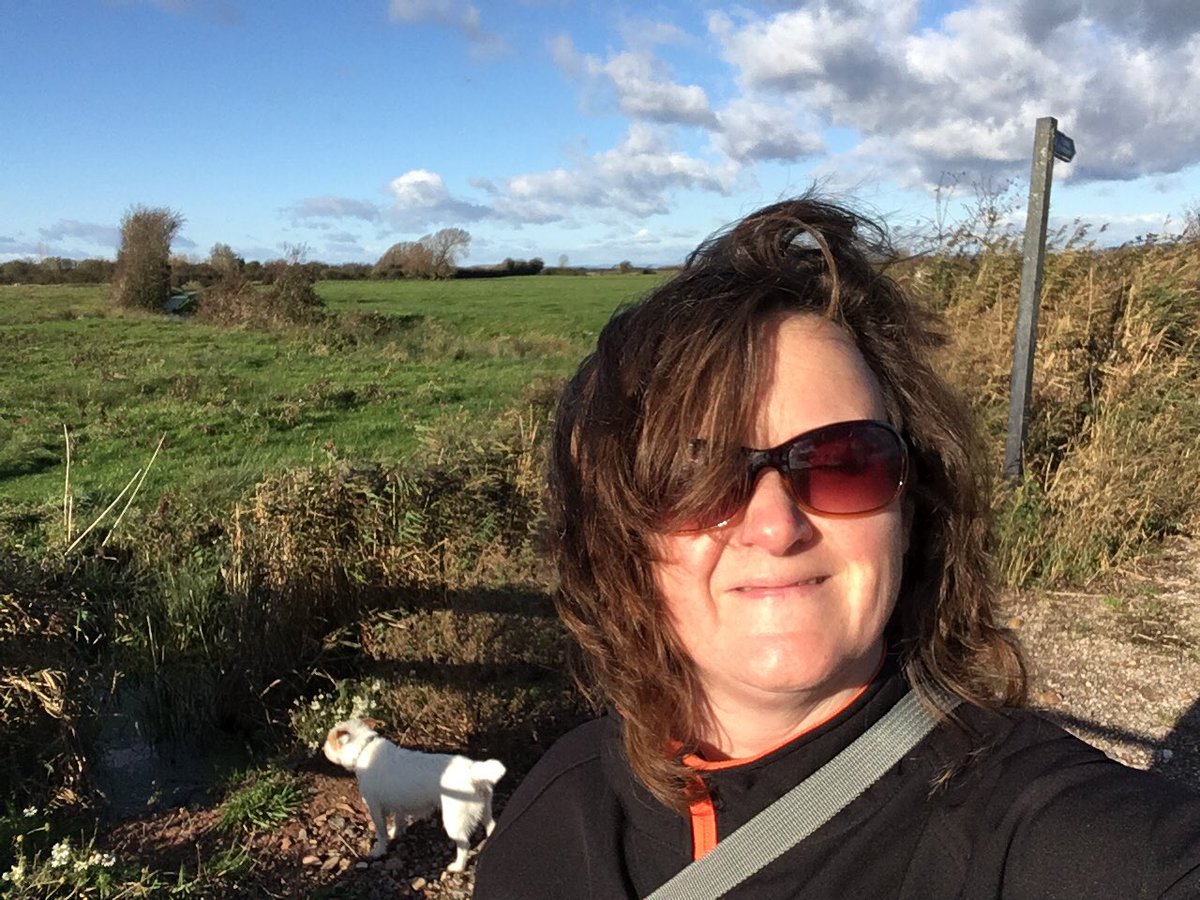 It’s a bit breezy but great day for a countryside walk #dogwalk #somerset