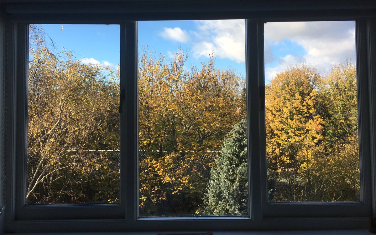 emilychiswell's tweet photo. bedroom window wondrousness https://t.co/kSBXNGNMuG