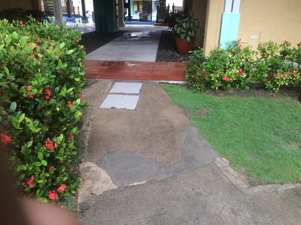 TheBreadBack's tweet photo. Jewel paradise cove championing accessibility! All spaces ramp accessible #Equality360 #Grungdem https://t.co/YBjT9qPC0q