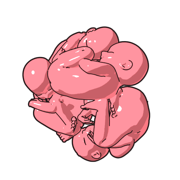 262庵 בטוויטר 今作ってる絵の元になった3d絵と 今回作った胎児素材です ぶっちゃけ四つ子とか 子宮にどうやって収まってるのか わけわからんので 廿ゑんさんの度し難い胎児資料フォルダの 中から四つ子のmri画像をひっぱりだして 参考にしました ちなみにお馬さんも