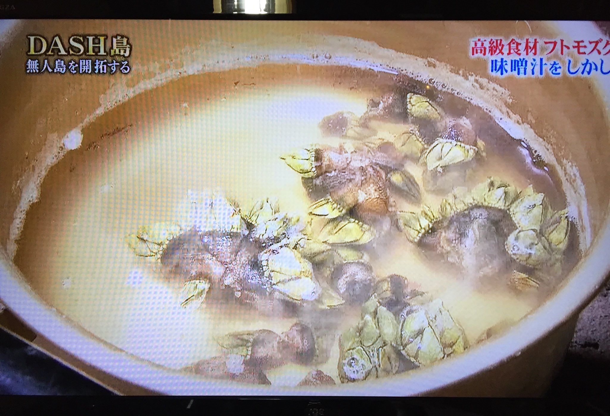 Tvmovie カメノテ気持ち悪いかもしれないけど食べたら美味いからね 鉄腕dash 鉄腕ダッシュ 亀の手 カメノテ T Co Z91h7pytoa Twitter