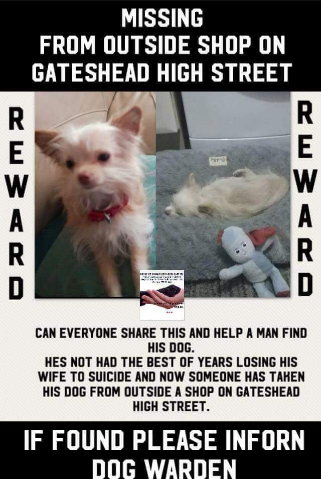 Angela Naples tweet media