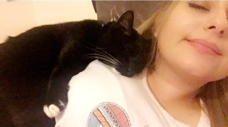 LukeMyBoo's tweet image. I love and miss you both with my whole entire being, I don’t know why you had to be taken away from me so soon but I’m proud to have been able to have you both in my life. No one could ask for more caring and loving cats. My angels Meeko &amp;amp; Blu🐱🖤🐱💙