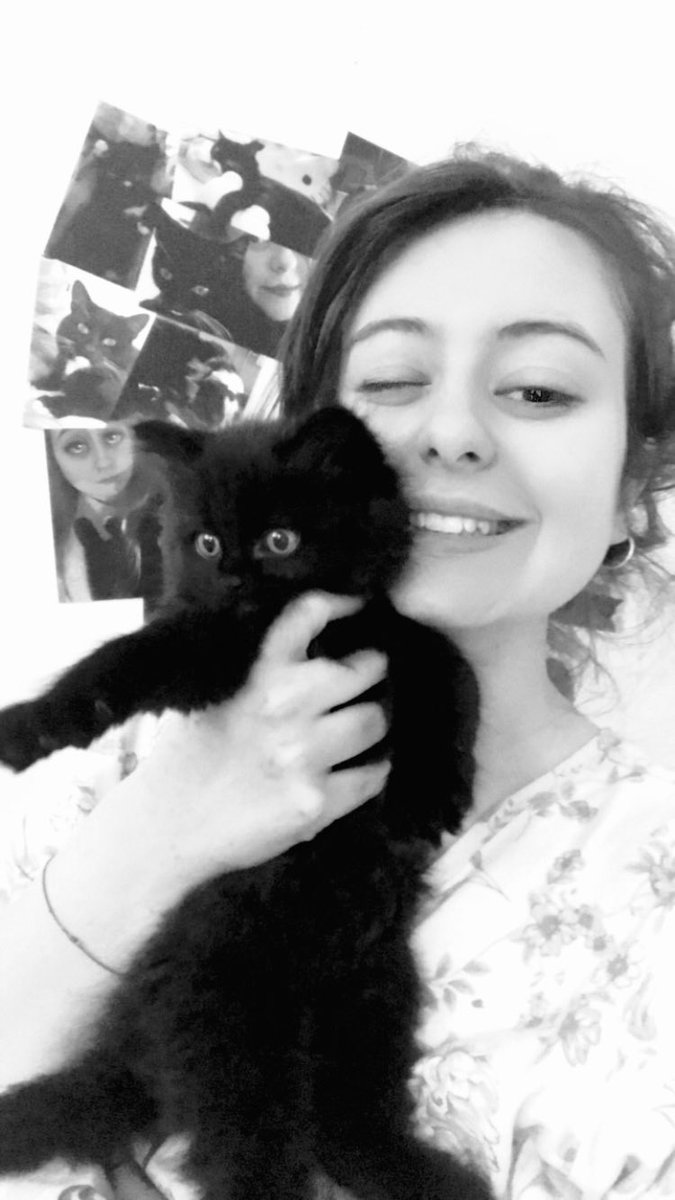 LukeMyBoo's tweet image. I love and miss you both with my whole entire being, I don’t know why you had to be taken away from me so soon but I’m proud to have been able to have you both in my life. No one could ask for more caring and loving cats. My angels Meeko &amp;amp; Blu🐱🖤🐱💙