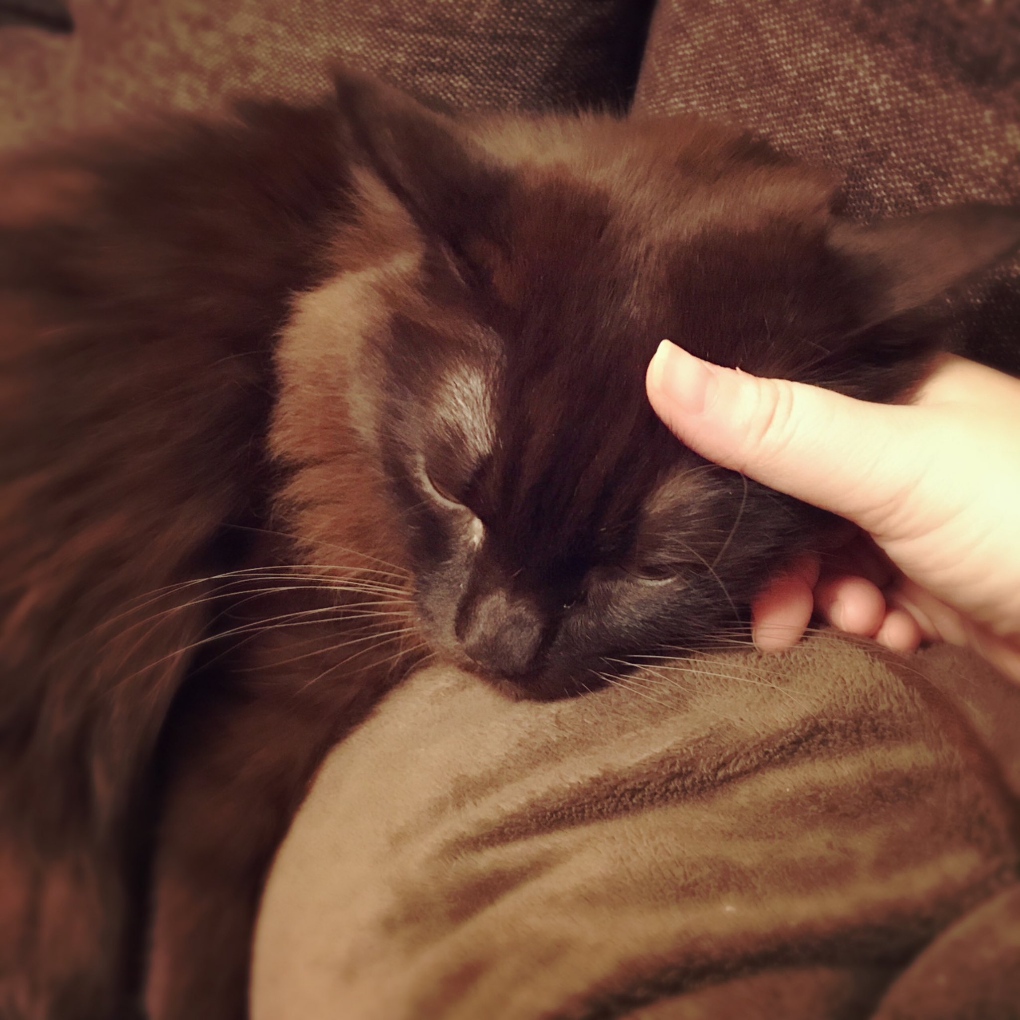 Naked Ape 逢川里羅 無料で1話目 46ページ 読めます ツツジモリ 遺品整理始末録 1巻発売中 こちらより T Co Xgd507h4gt 頑張れないやつなんて社会のクズじゃないですか 全てを失い自殺しようとした森村風介を助けた不思議な男