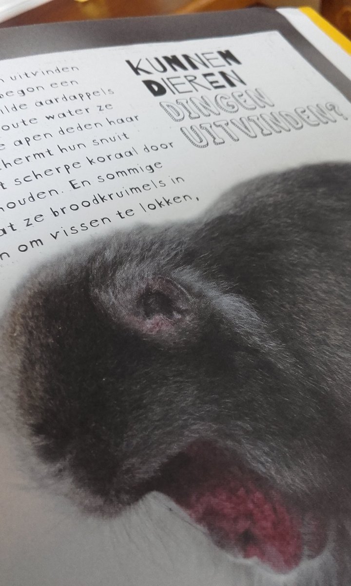tekststroom's tweet photo. "Waarom verdrinken vissen niet?" is uit. Wie had ooit gedacht dat kraaien broodkruimels gebruiken om vissen te vangen?! #hebbanbuzz https://t.co/mJNLjWDWbT