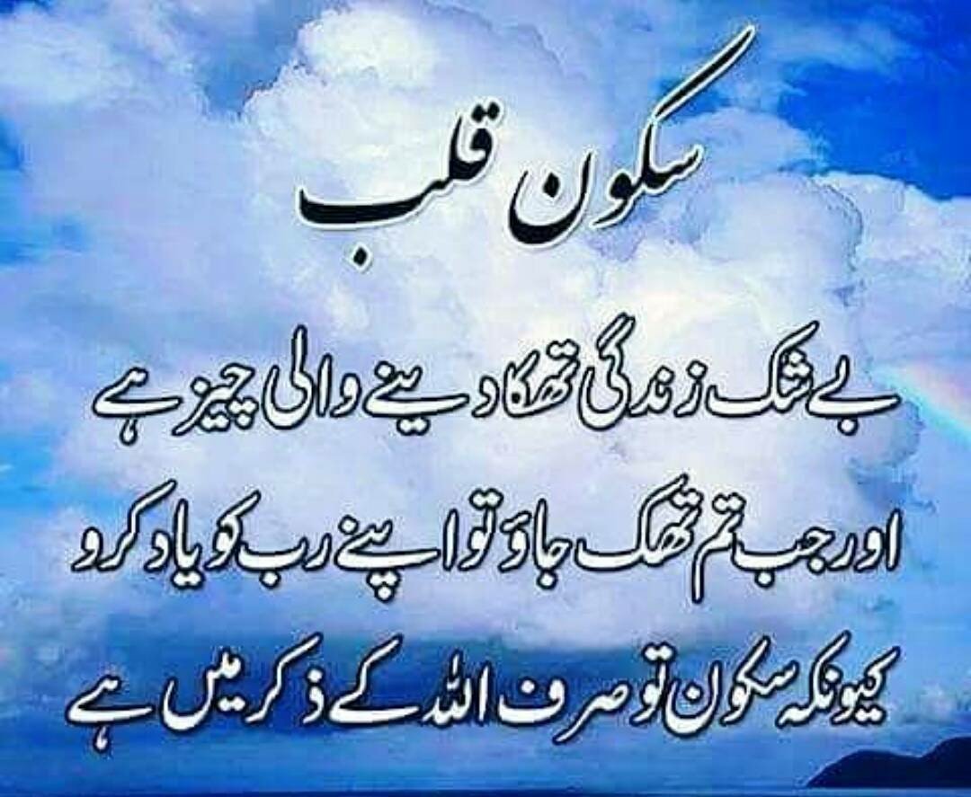 umar5343's tweet image. 