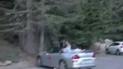 imbeciles_fr's tweet photo. Si vous avez une décapotable, attention, ne la laissez surtout pas en bordure de forêt avec de la nourriture à l'intérie https://t.co/RmBaVgQsg4 #ours #nourriture #voiture https://t.co/o4ZZ11RoVg