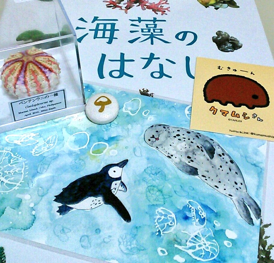 17 いきもにあ後夜祭 まとめ 17ページ目 Togetter 17 いきもにあ後夜祭 まとめ 17ページ目 Togetter