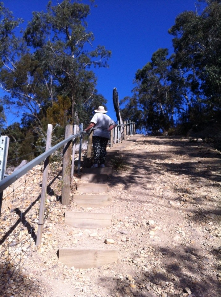 TassieStore's tweet photo. The long hard climb #Taroona #Hobart #Tasmania #Australia https://t.co/E5AjHnYKrc https://t.co/7rq4riFKAB