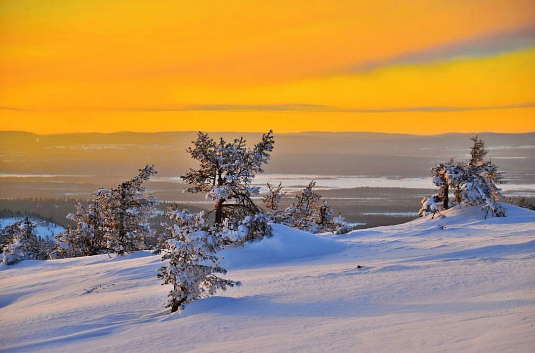 Finnish Lapland is a true winter wonderland, and we've collected the images to prove it in this gallery! fi.pinterest.com/DiscoverFinlan…
