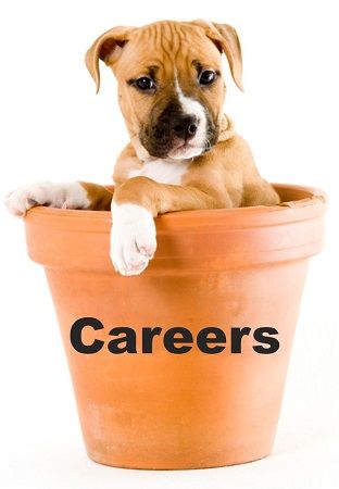 You can advertise #jobs #vacancies for free on buff.ly/2hj3LU6 and buff.ly/2hhzsNk - #veterinaryprofessionals only :-)