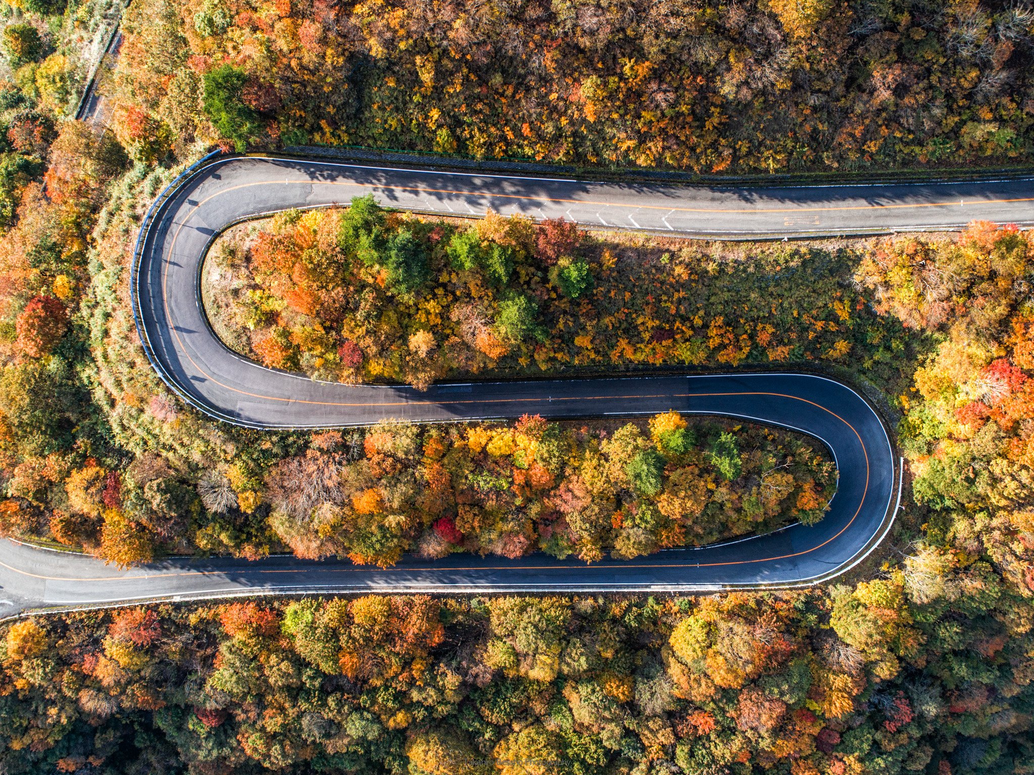 تويتر 別所隆弘 Takahiro Bessho على تويتر 山紅葉に色づく朝の伊吹山ドライブウェイ を撮影してきました 上空から見下ろすと そこに広がるのは美しい紅葉と卓越した建築技術の見事なコラボでした 管理会社の許諾および協力の元 開業時刻前の車の走らない時間帯の