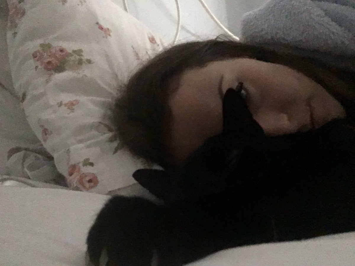 edaniel123's tweet photo. Level of hangover: spooning your cat https://t.co/nWqHxEcB5T