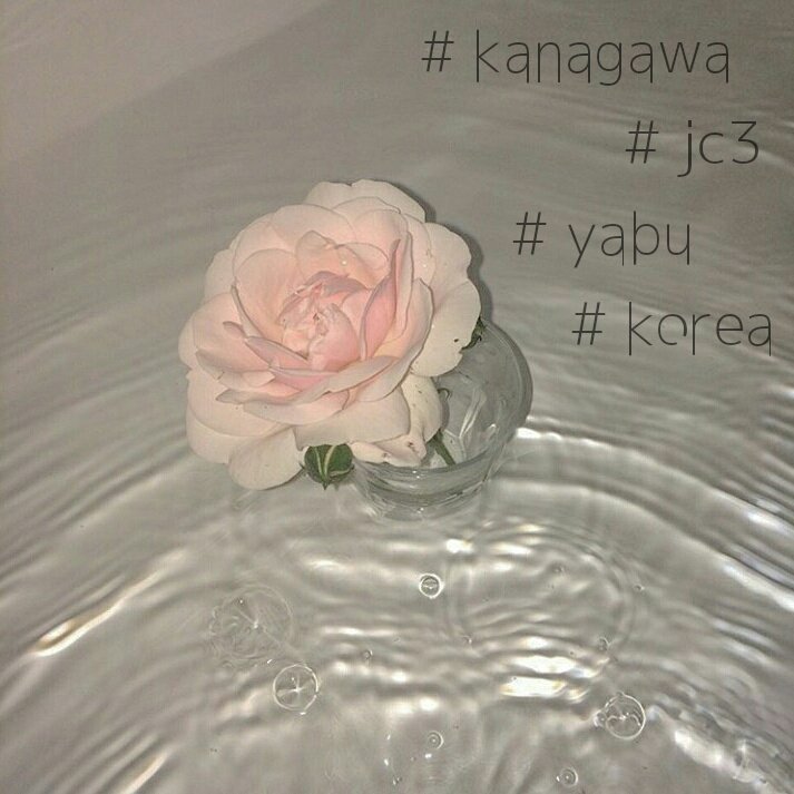 _____31day's tweet photo. 寝 て も 覚 め て も 薮 宏 太

同担拒否してます

#RTしたとびっ子さん全員フォロー 
#とびっ子さんと繋がりたい
#わーーーージャニオタさんと繋がるお時間がまいりましたいっぱい繋がりましょ 
#RTした人で気になった人お迎え https://t.co/hadITzm5f0