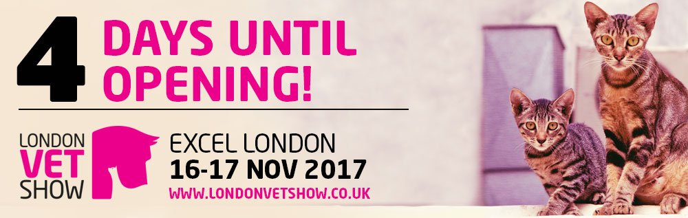 VetShow's tweet image. We hope you're resting up today ahead of #VetShow week 2017!