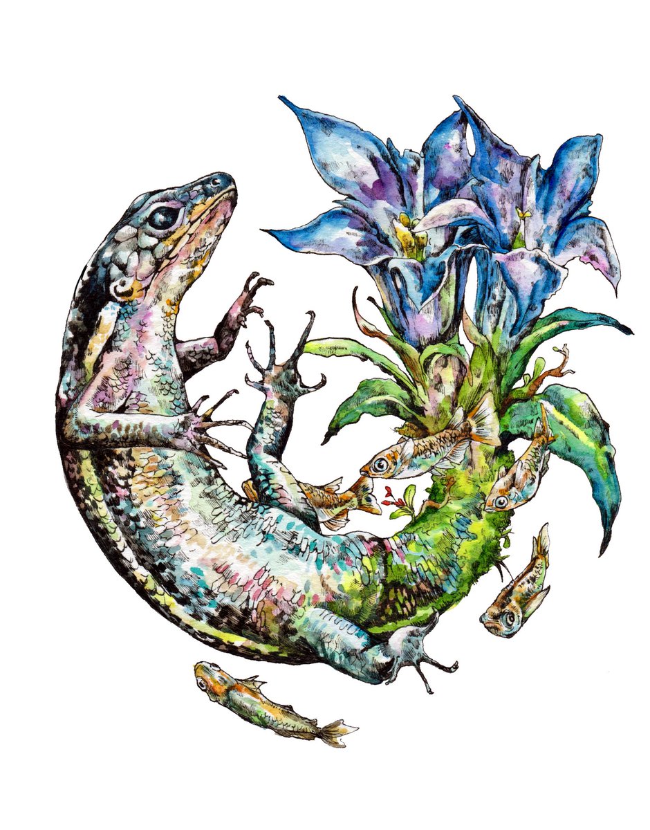 真作】絵画 日本画6号 竜胆（リンドウ）図 清らかな群青の植物画 W108